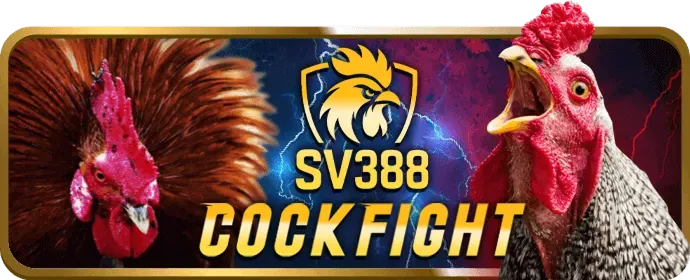 Chơi có trách nhiệm tại viva88 code